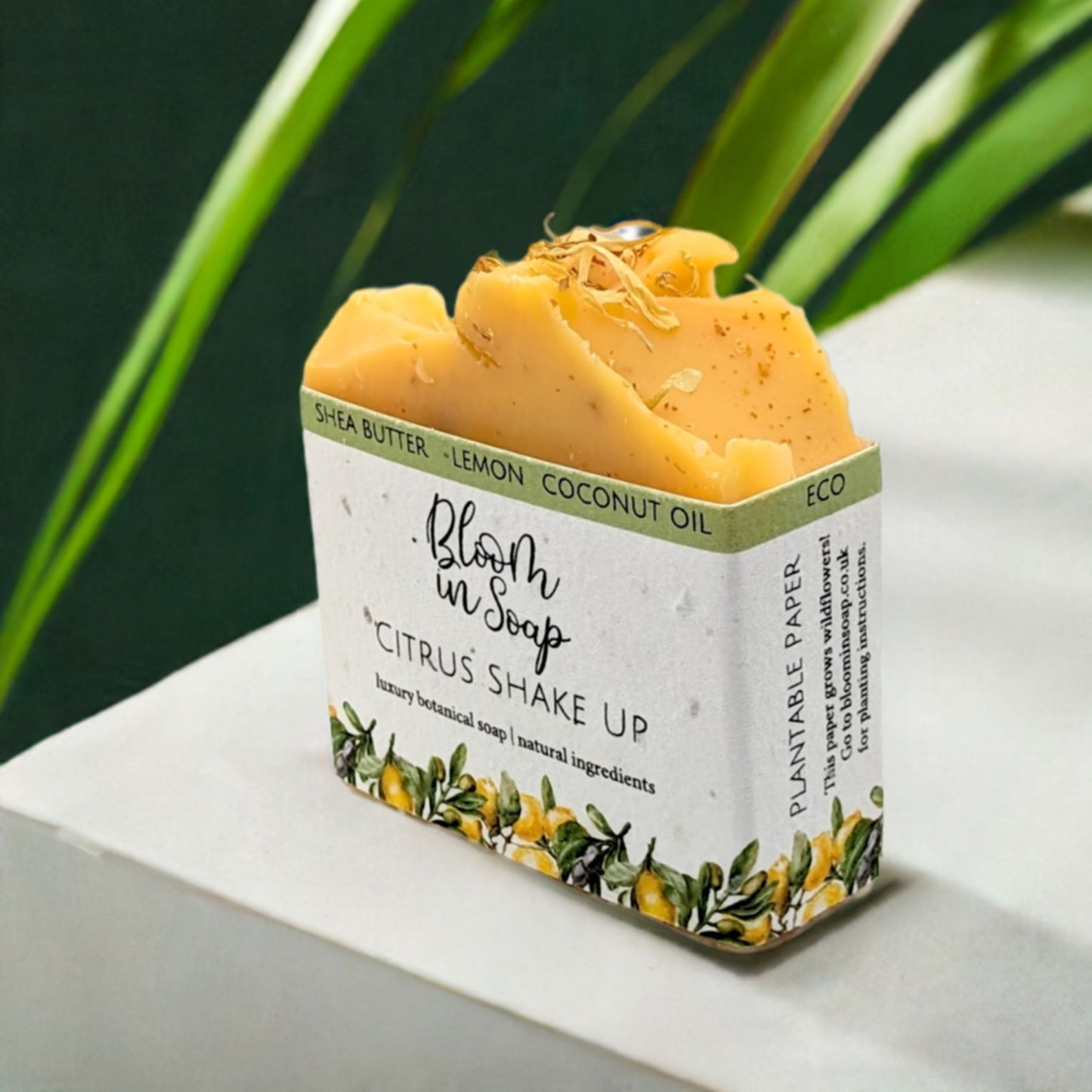 Citrus Shake Up Shea Butter Soap