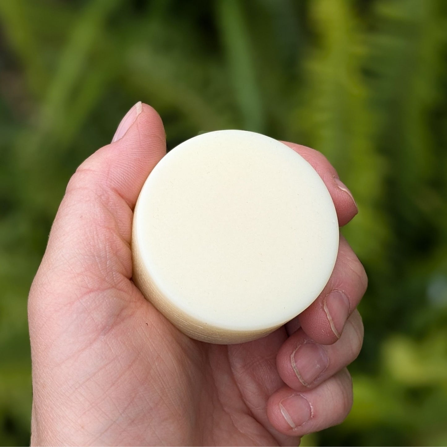 Petal Power conditioner bar refills from Bloom In Soap