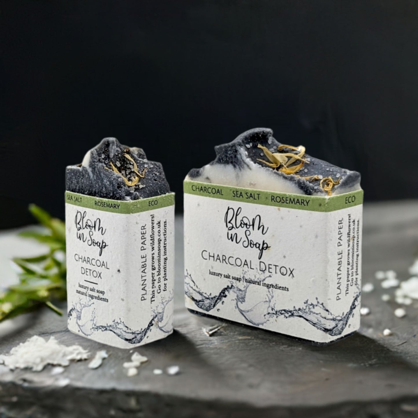 Charcoal Detox Salt Bars