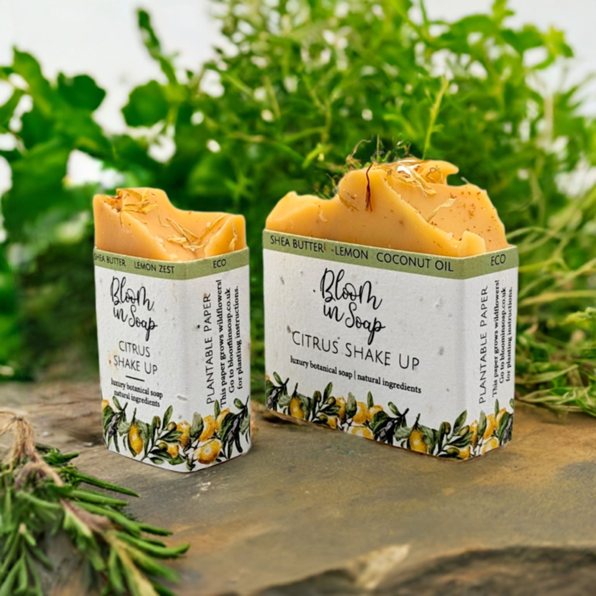 Citrus Shake Up Shea Butter Soap