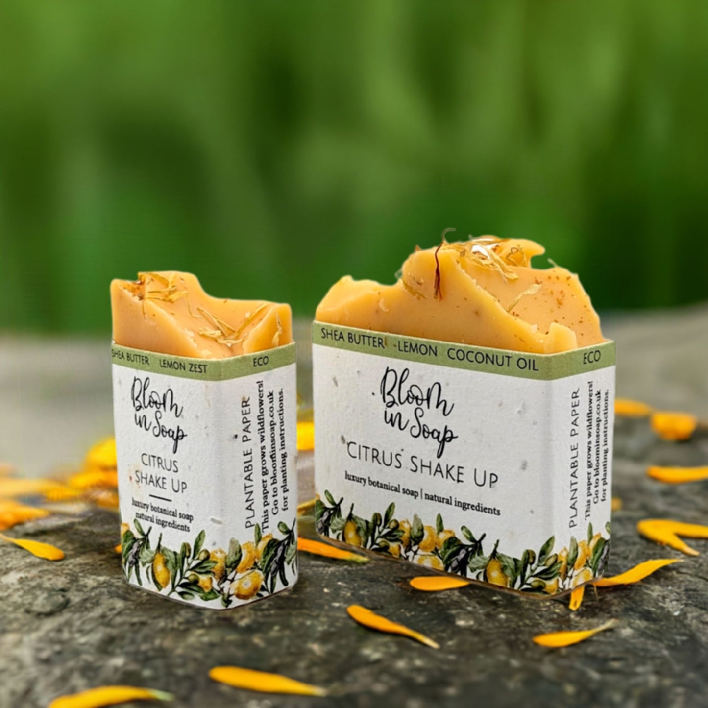 Citrus Shake Up Shea Butter Soap