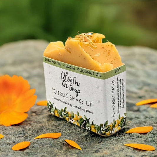 Citrus Shake Up Shea Butter Soap