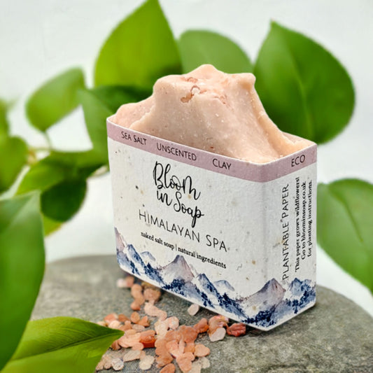 Himalayan Spa Salt Bars - Unscented Soap