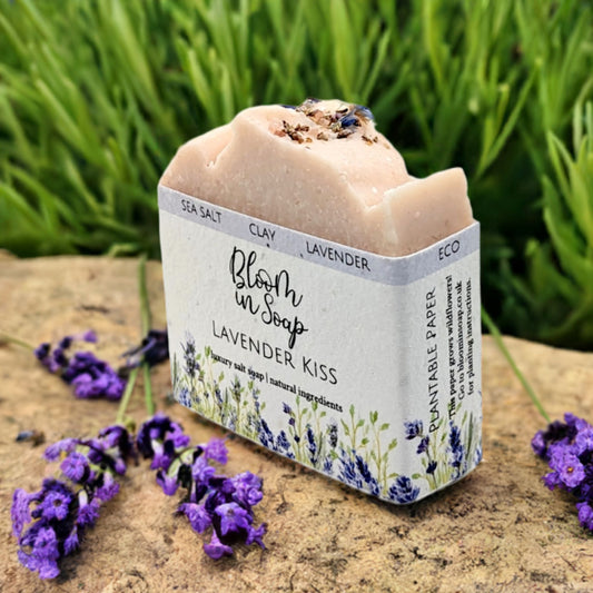 Lavender Kiss Salt Bars