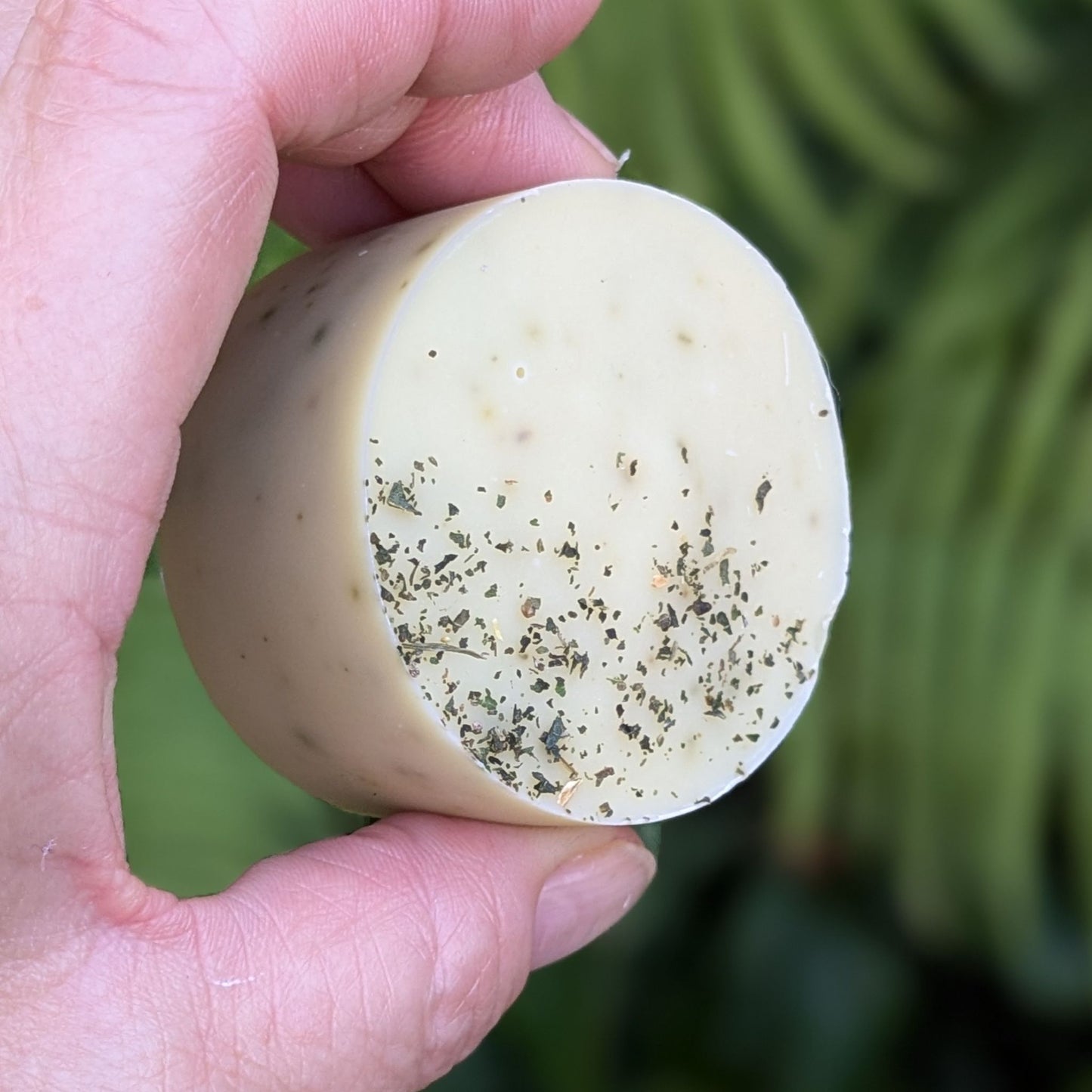 Nettle and Tea Tree travel soap in a tin